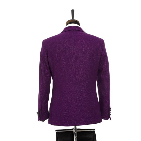 Derman Purple Pointed Collar Silvery Classic 2 Piece Tuxedo - Picture 4 of 4